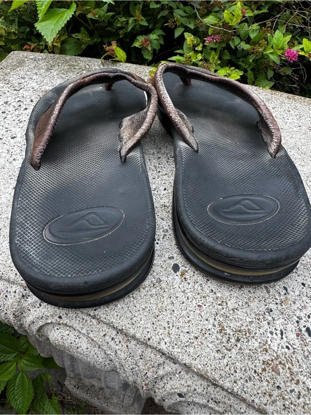 Reef Men's Brown Leather Flip Flops - Brown/Black w/bottle opener